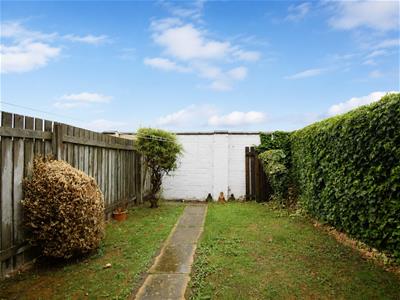 Picture 19
